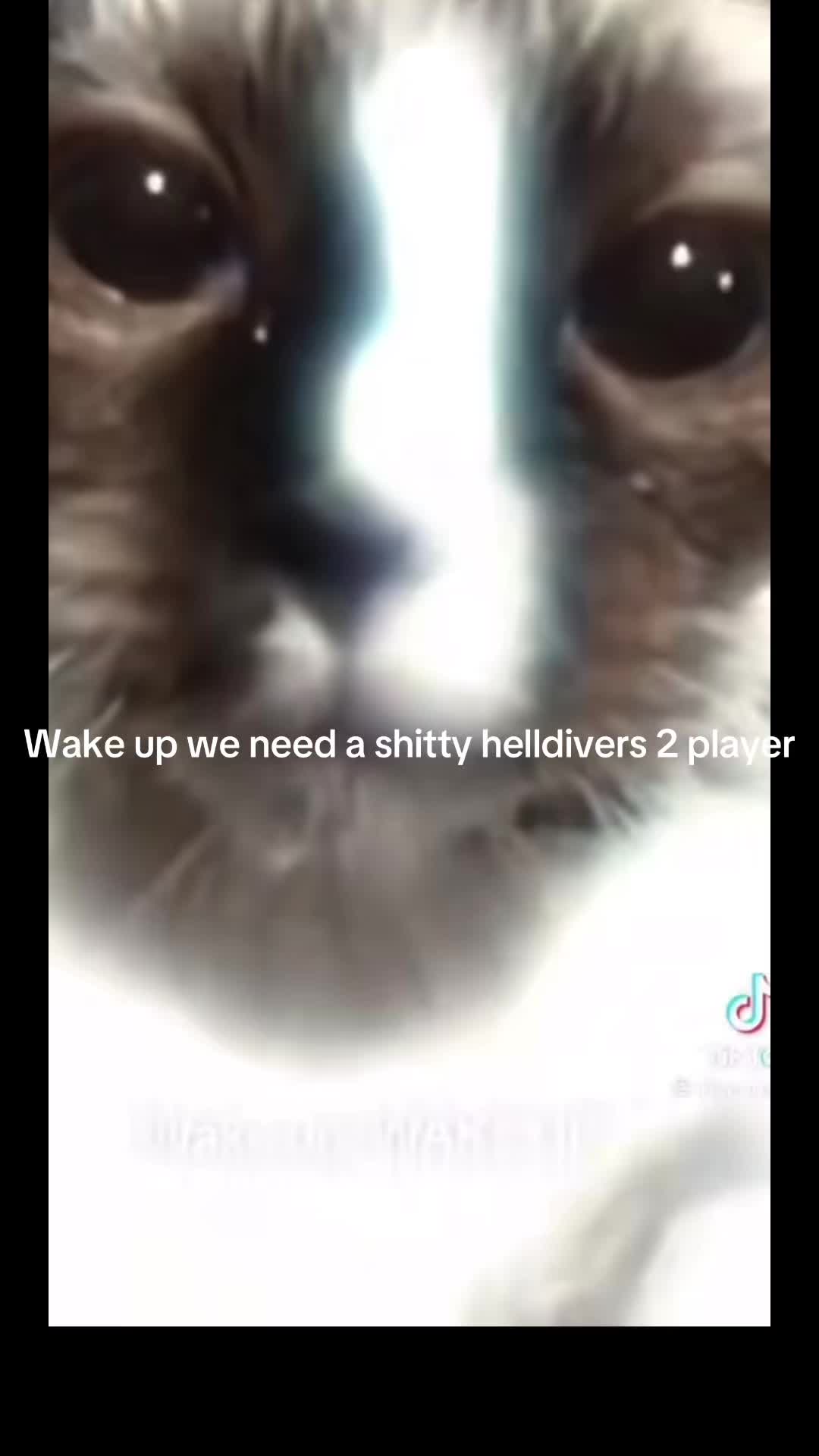 @FeakY13