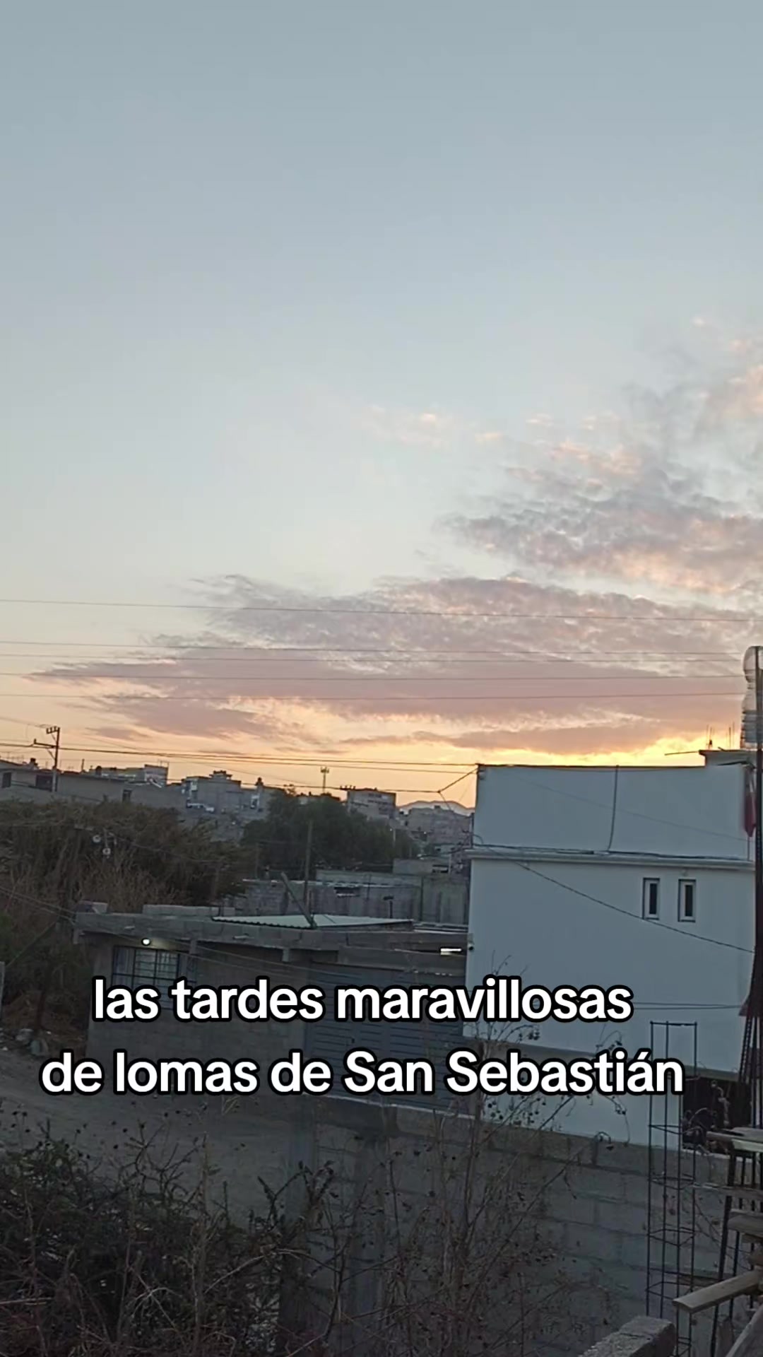 @Arellano Mercedes