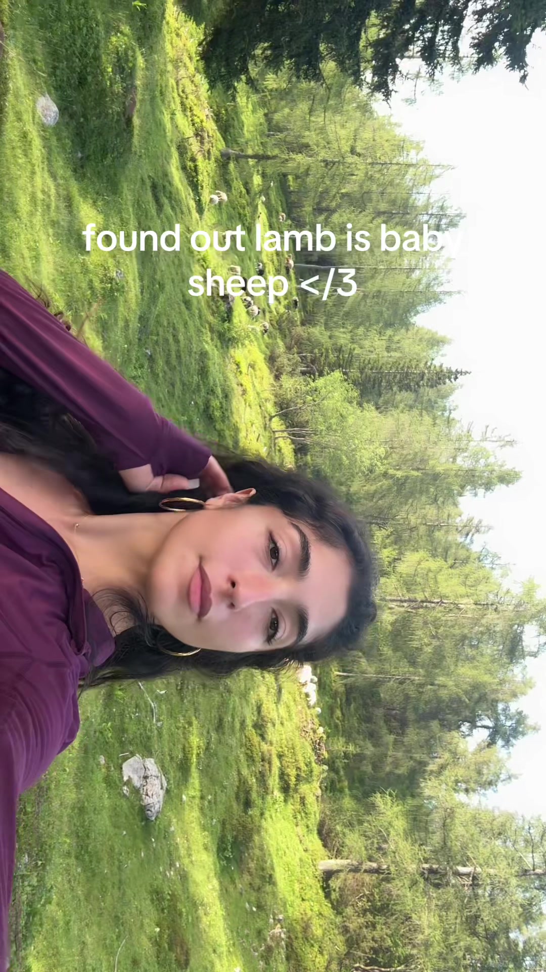 @sakr