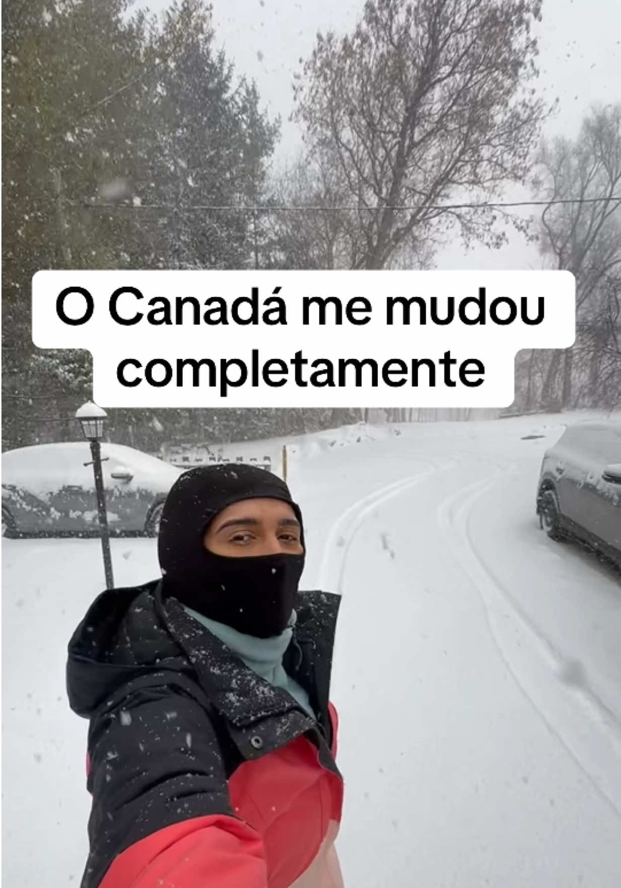 @Farofa de Maple