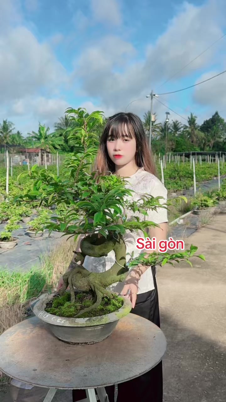 @Chichchoebong79