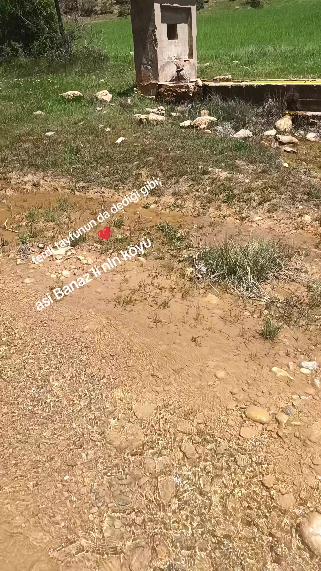 @SÜREYYA HANIM. 64