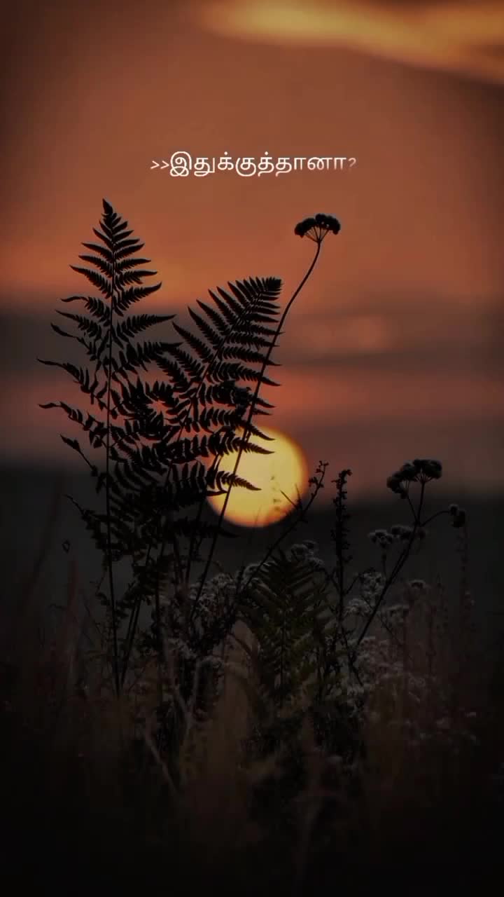 @&spades;︎ʙʟᴀᴄᴋ ʟᴏᴠᴇʀ&spades;︎