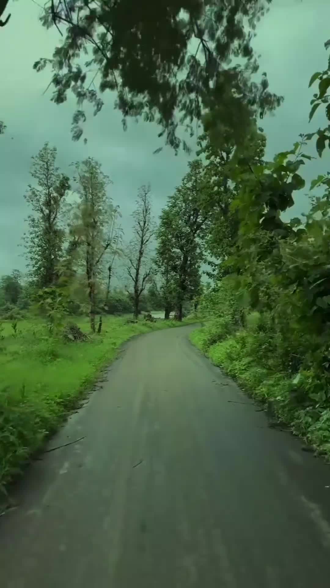 @_Gurbet_