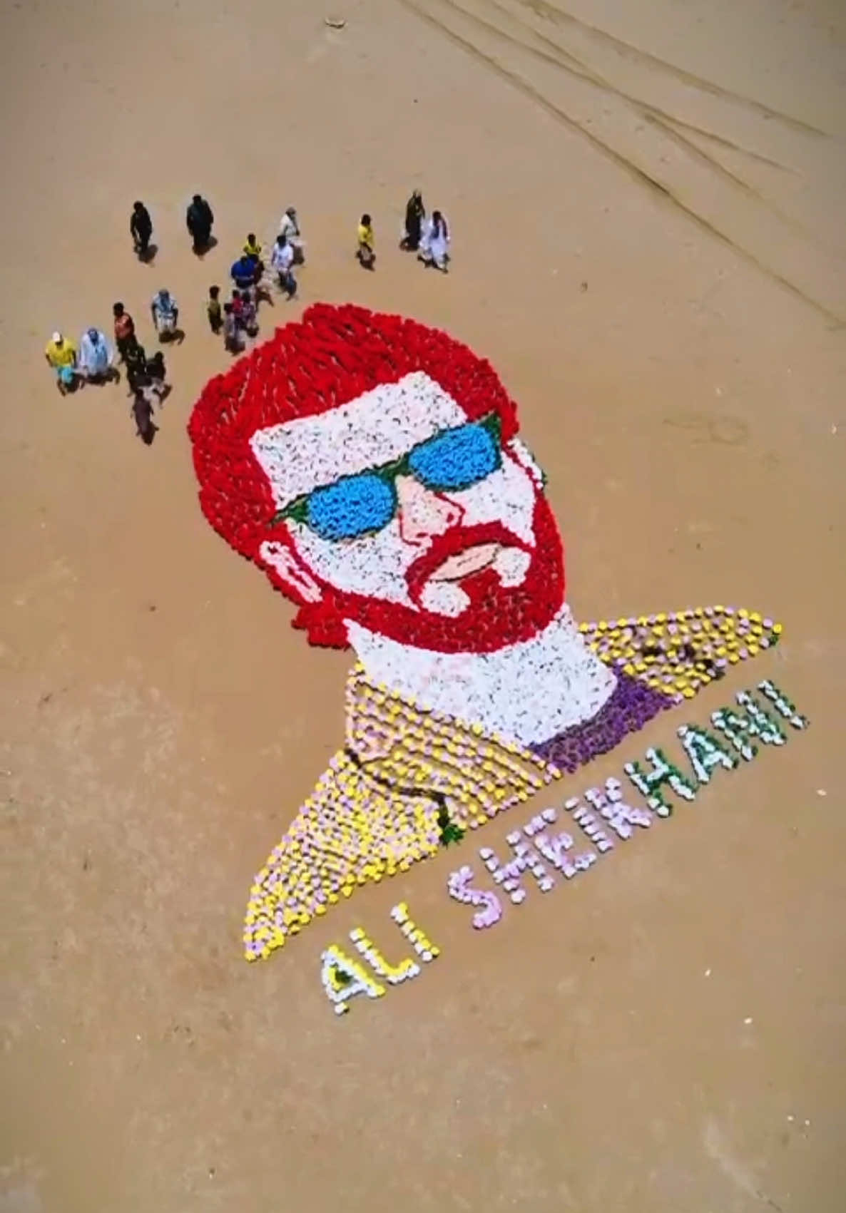 @Ali Sheikhani