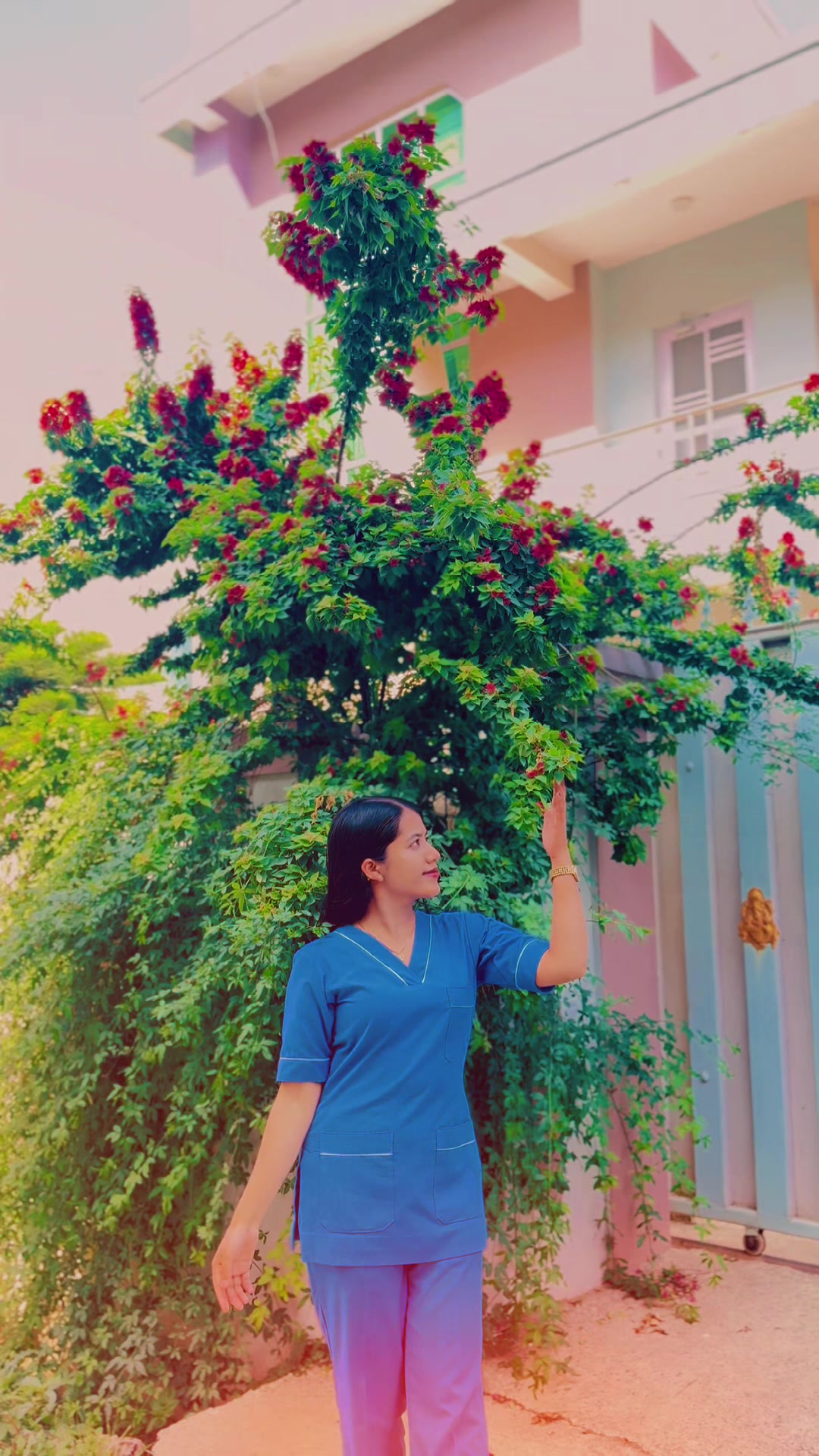 @kamalaoli🦋❤