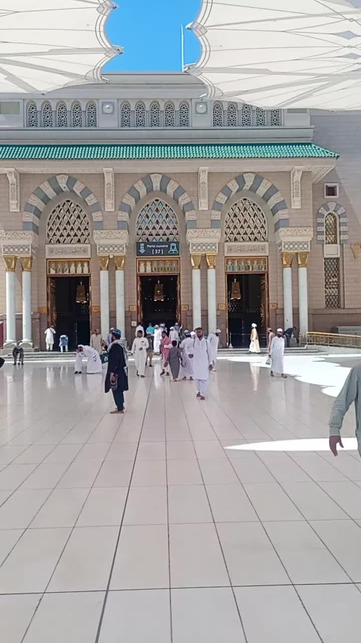 @MUHAMMAD WAQAS
