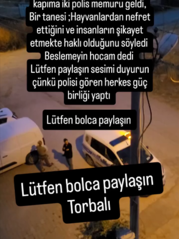 @kedifanatikleri