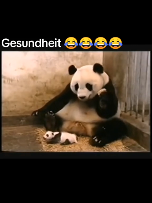 @Kermett