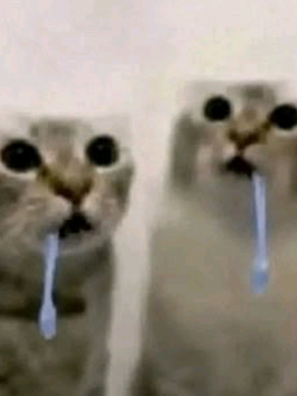 @⋆𝓥𝓮𝓻𝓲𝓽𝓸 ⋆