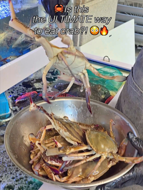 @FoodieLAB 푸디랩