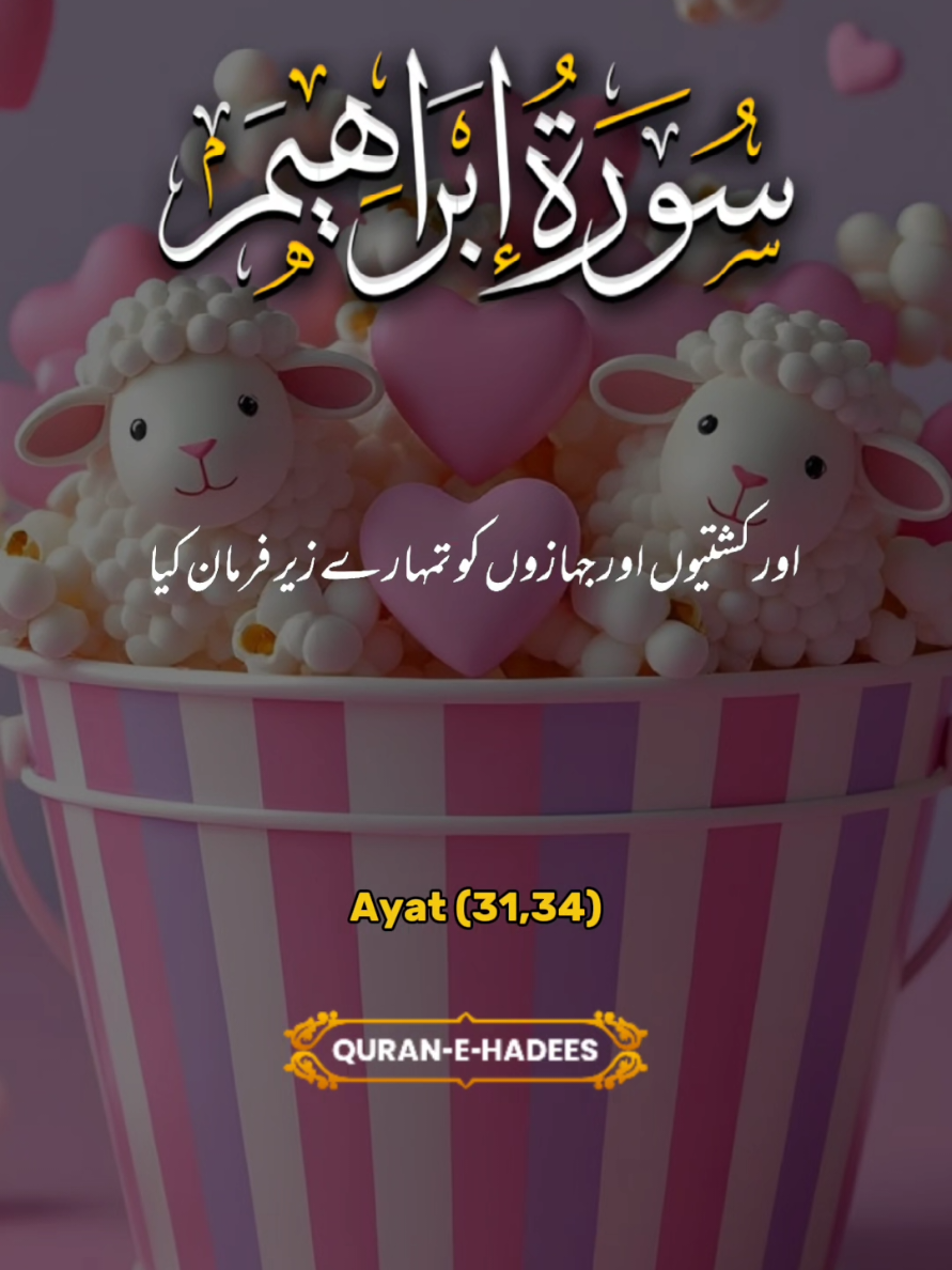@umarimran786