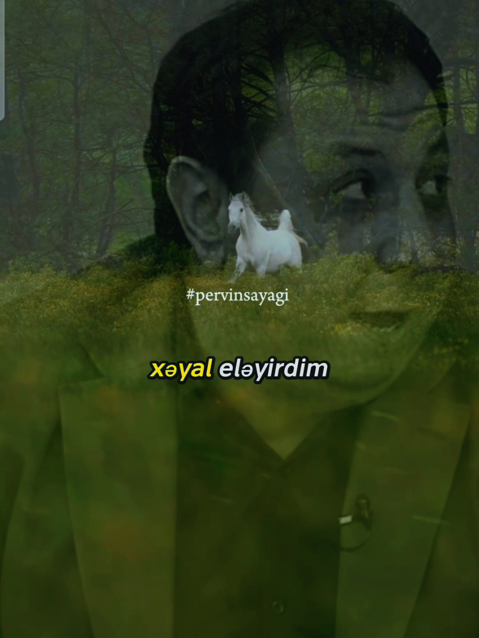 @Parvinsayagi
