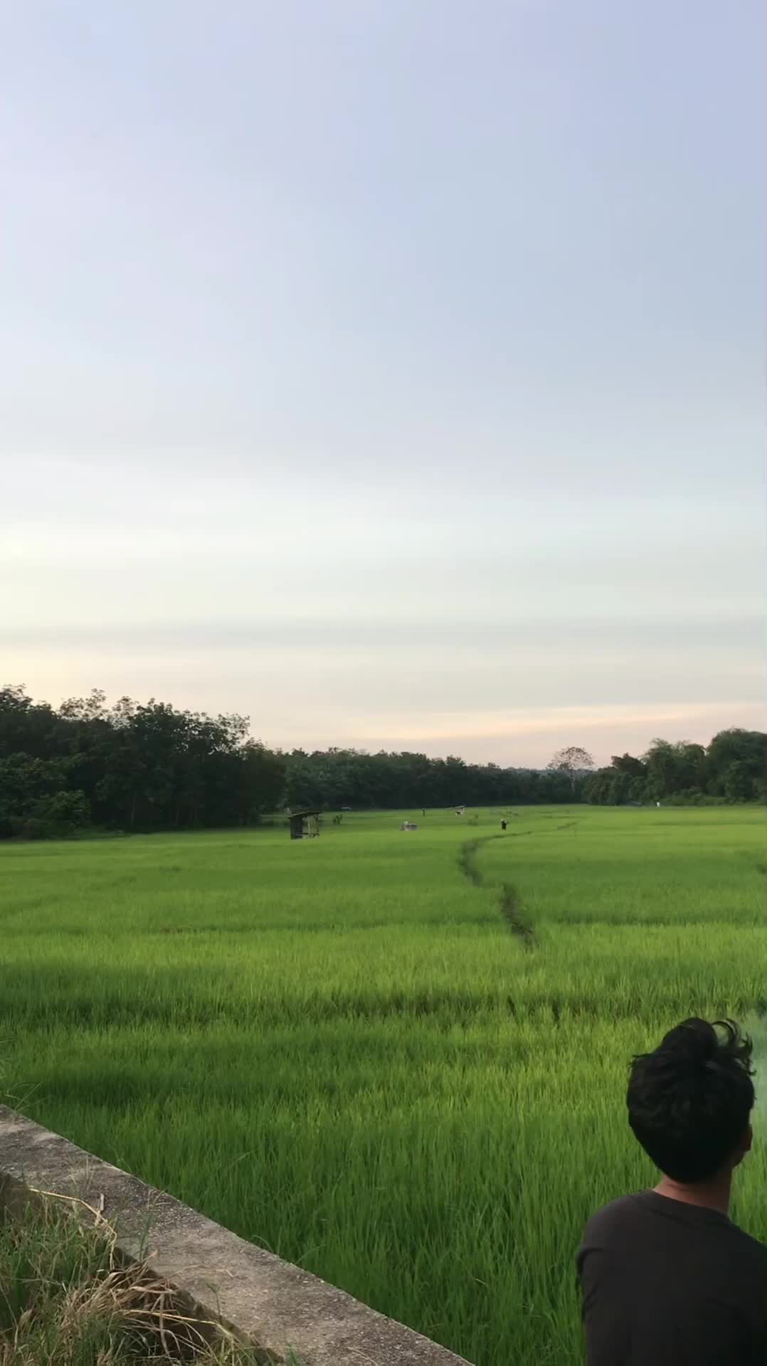 @Nama kamu