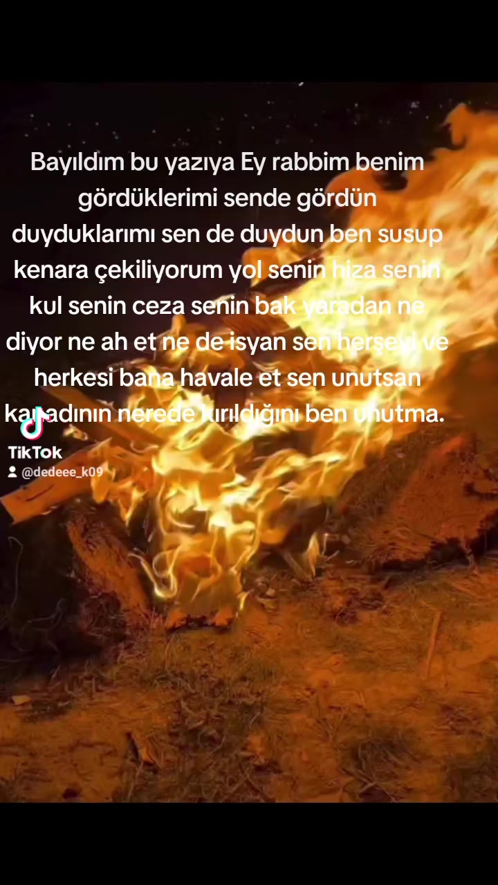 @⚜️wolf usta ⚜️