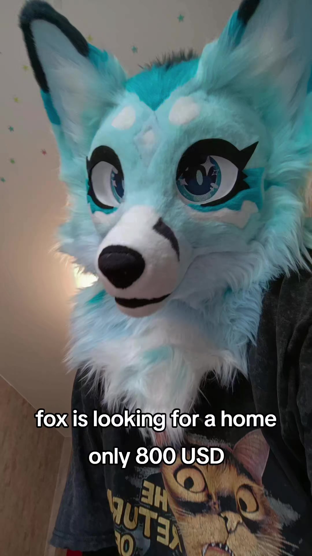 @LeraWolf_workshop