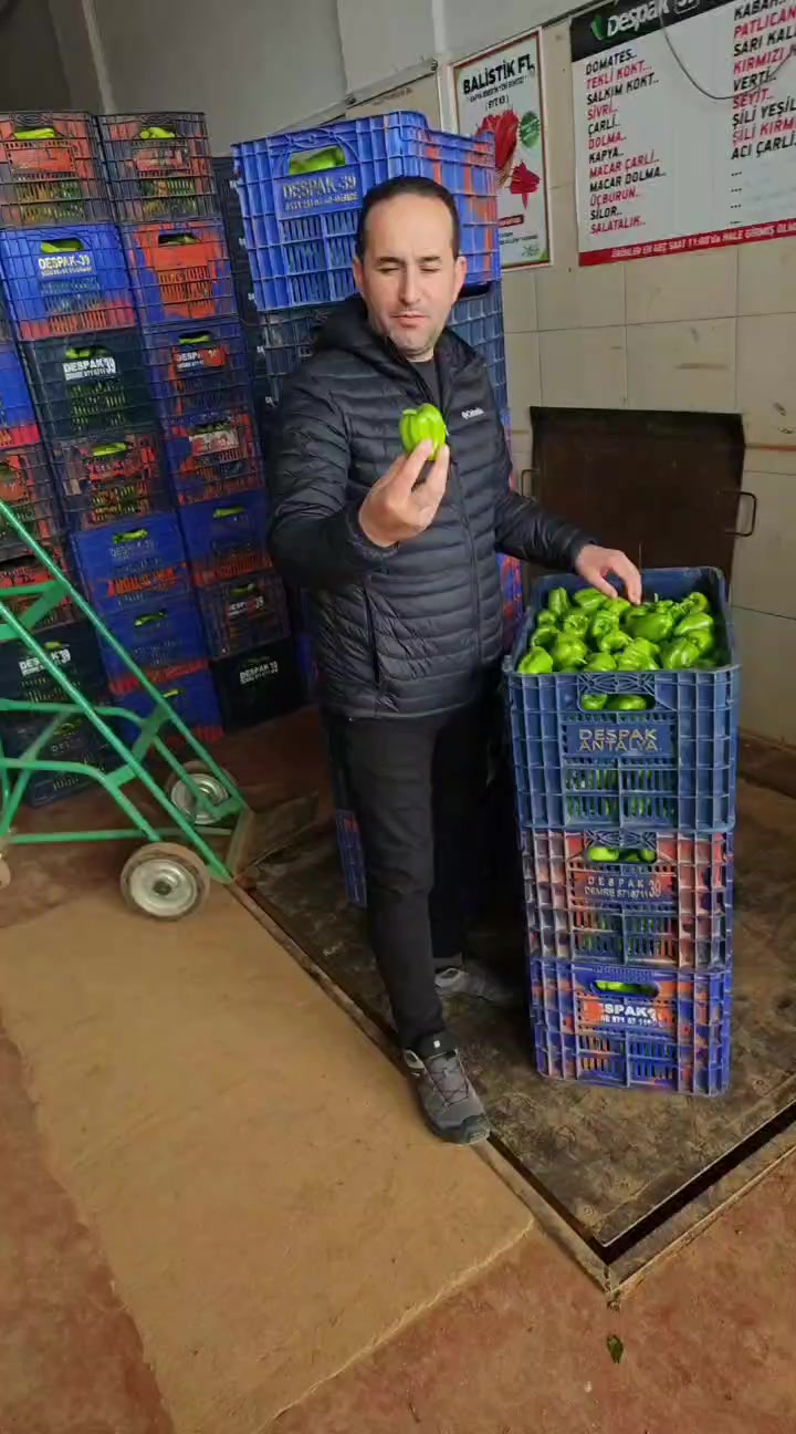 @Nasuh Akbaş