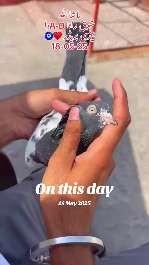 @RanaAdi302