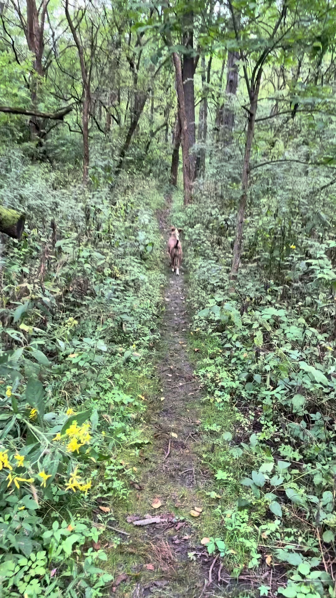 @Hikingwithstanley