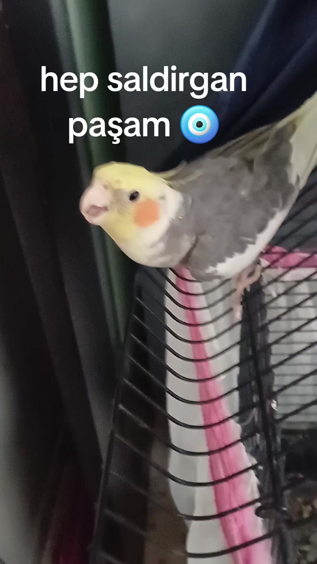 @🦋MAVIŞIM🦋