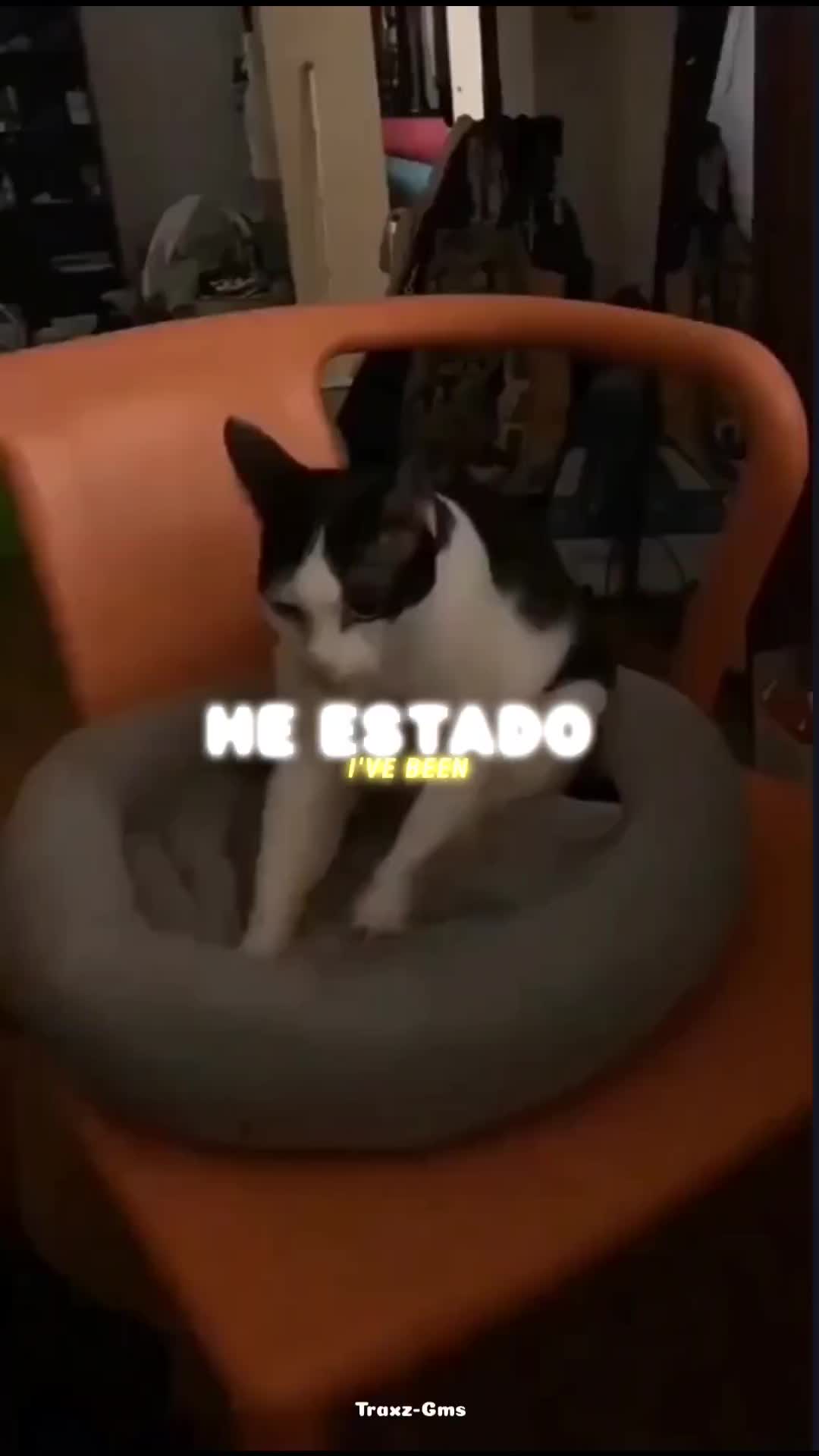 @BoyWithCausas