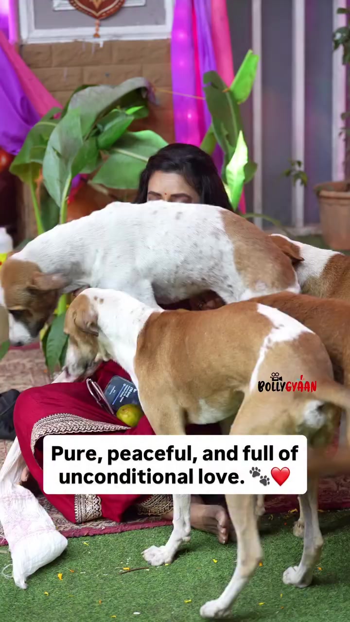@Shriti Karn