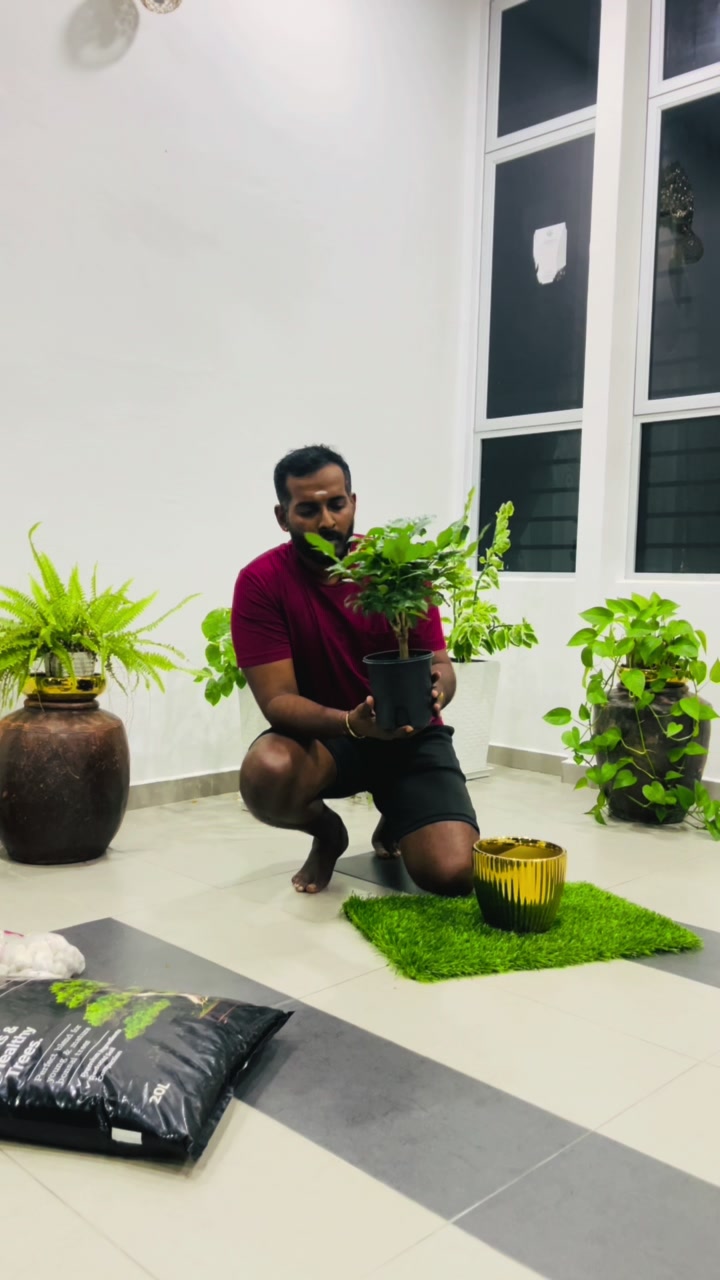@✨🦚ராஜ்🦚✨