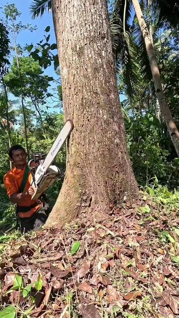 @Yulianto