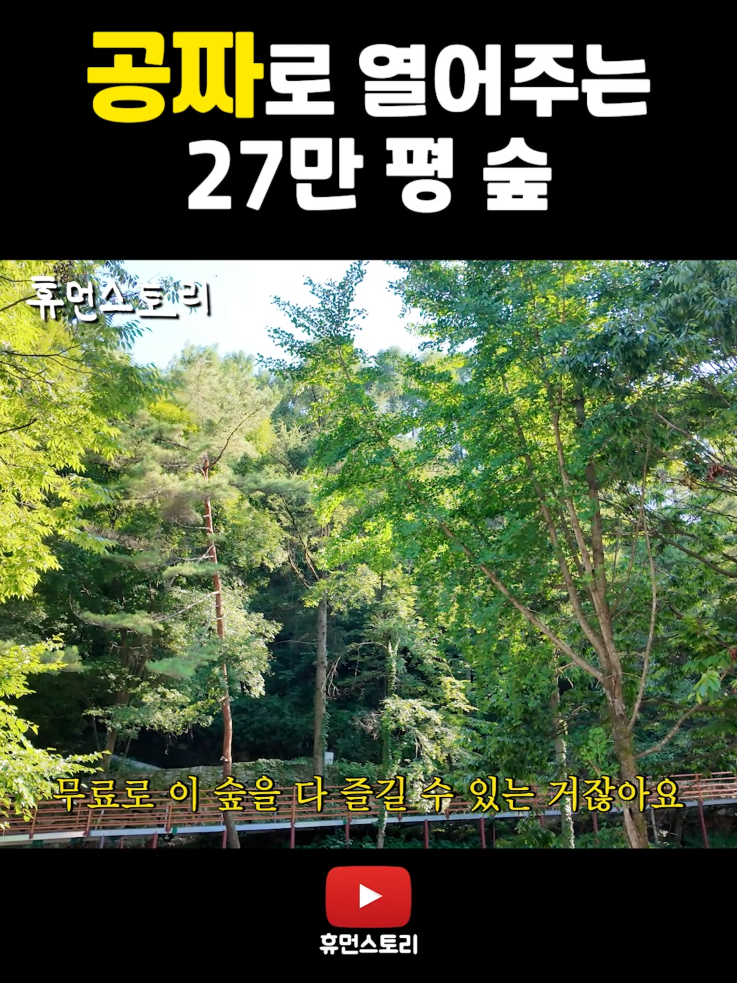 @휴먼쇼츠