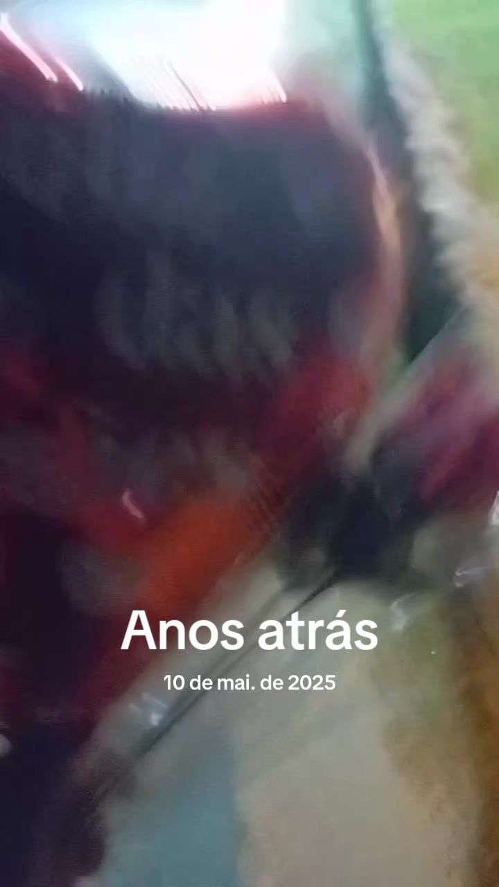 @Vanessa Chaves