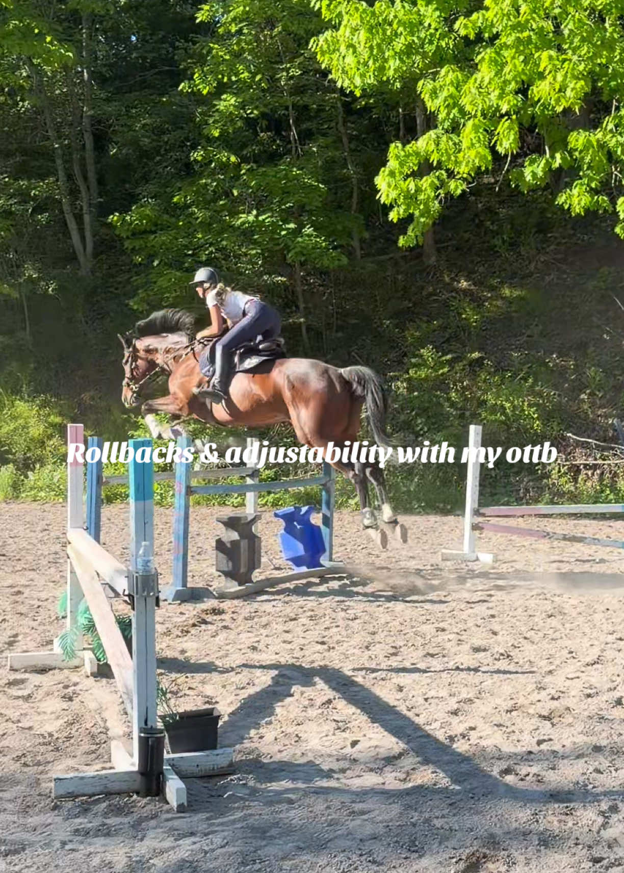 @Lunar Hill Equestrian