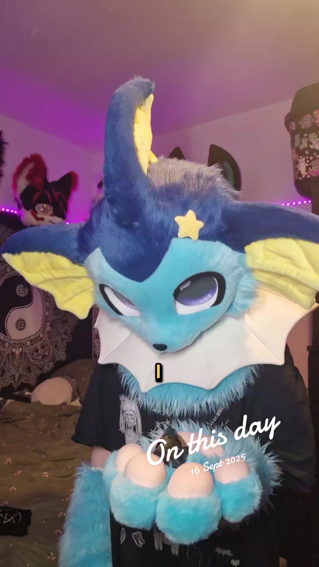 @Bailey (lilpixiekitten)