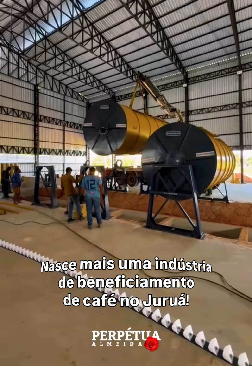 @Perpetua Almeida