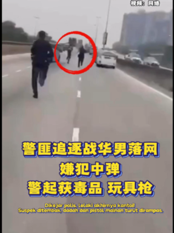 @中国报