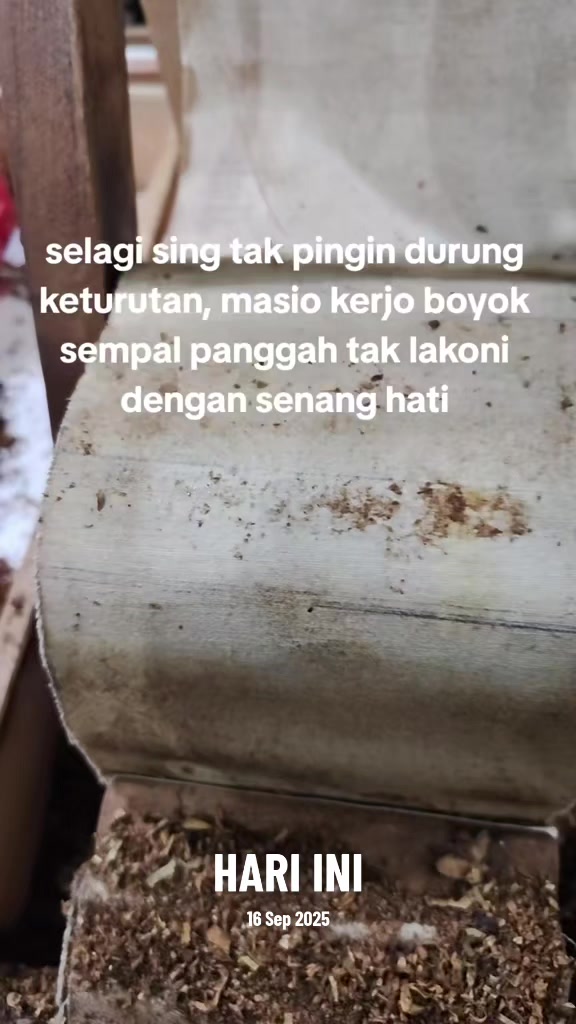 @vii_dalem