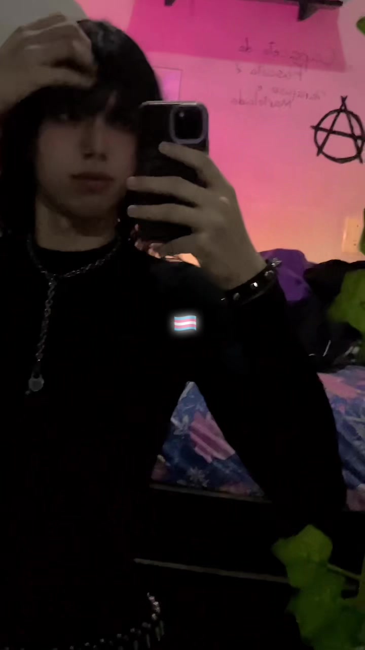 @morceguinha.mah