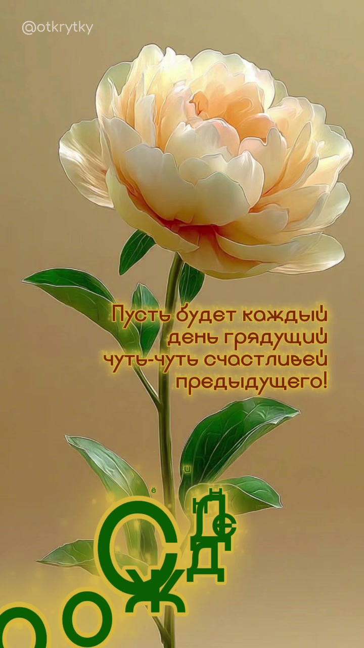 @O!открытки!