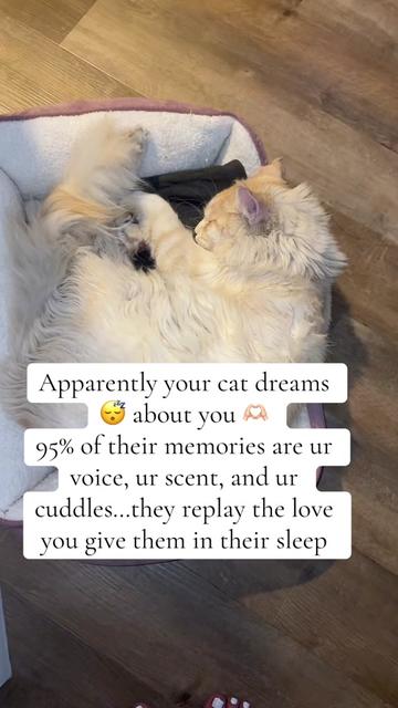 @Sonnyboy 🐈 Staci RN