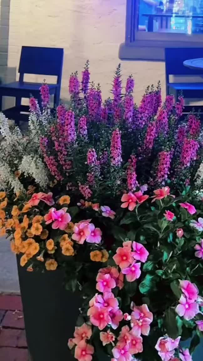 @Jyoti Subba