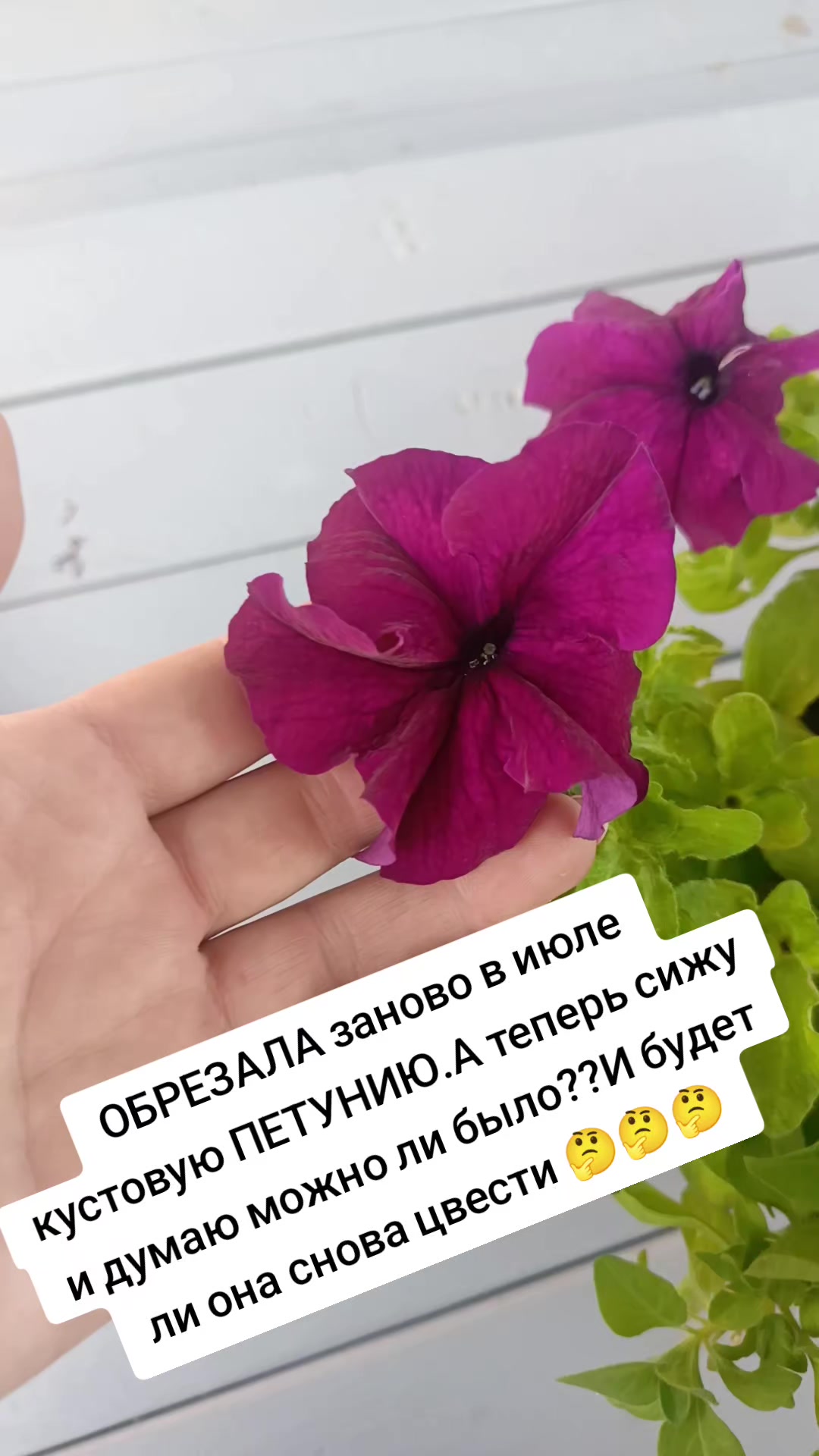 @Оленька