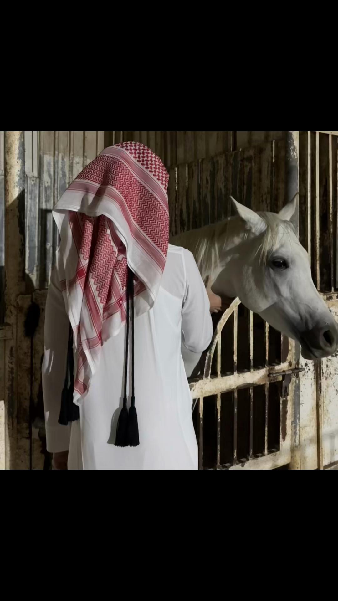 @Saudi