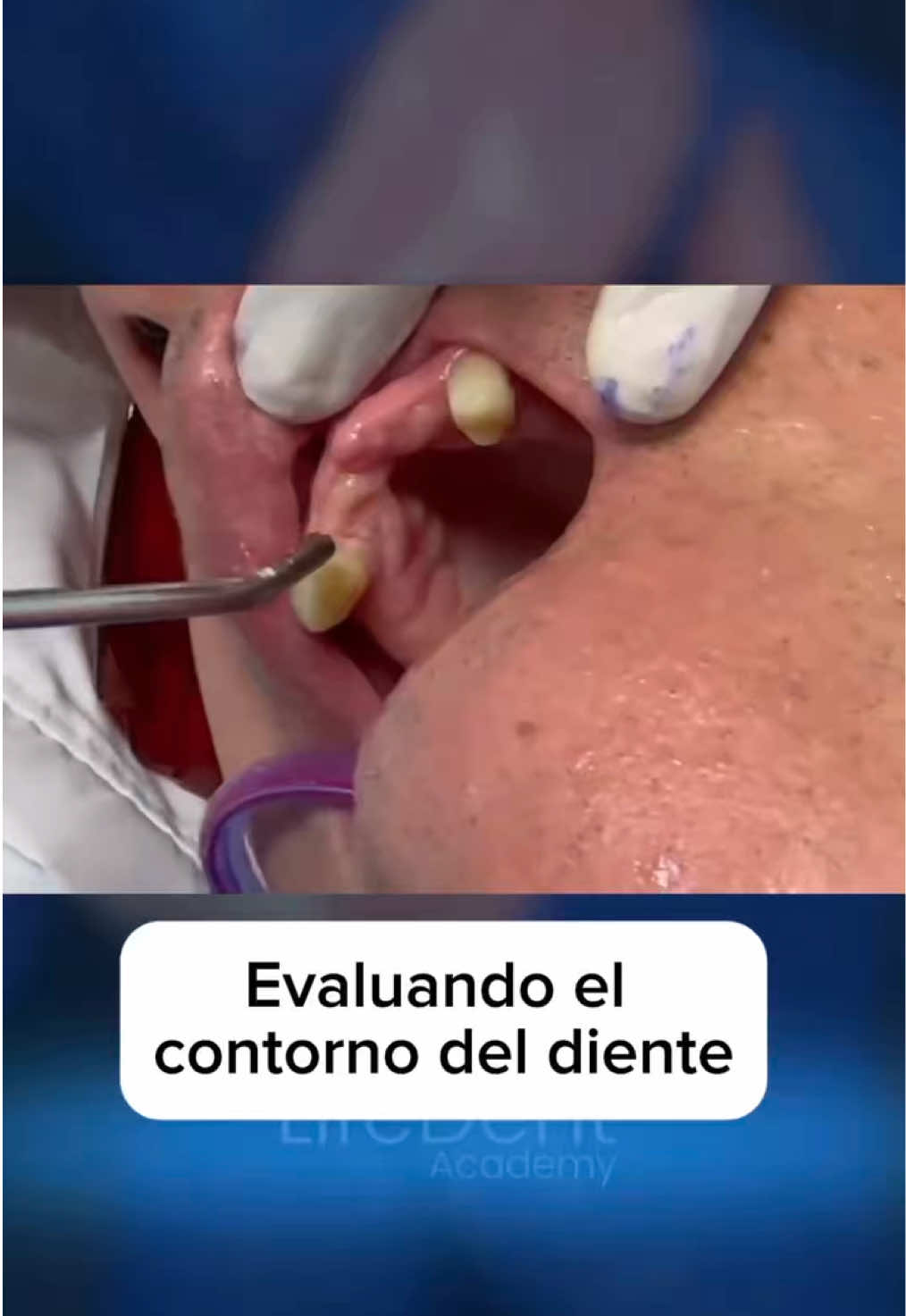 @lifedentacademy
