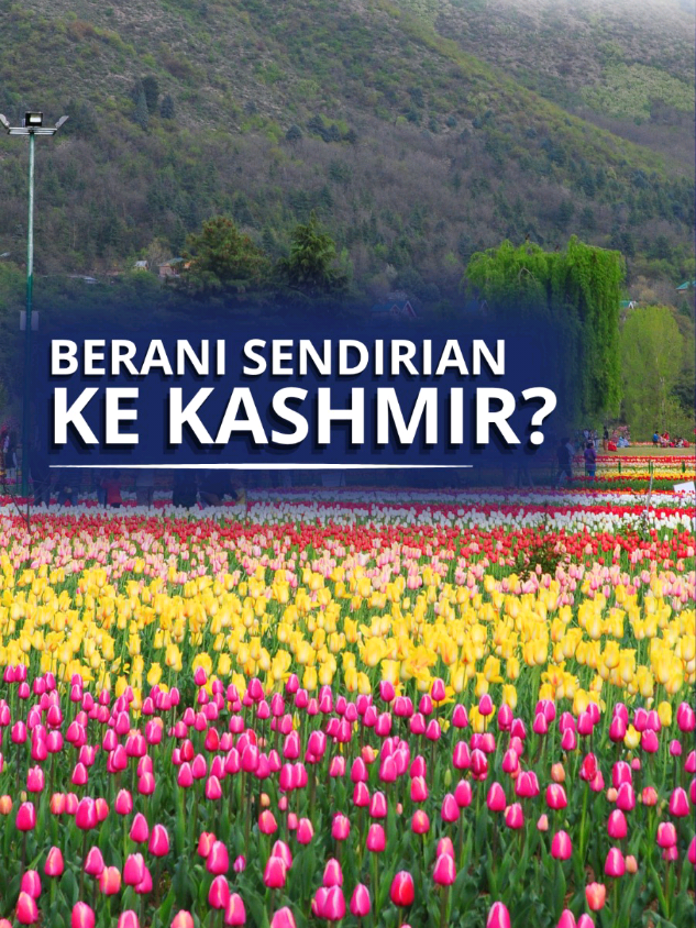 @Liburan Kashmir India