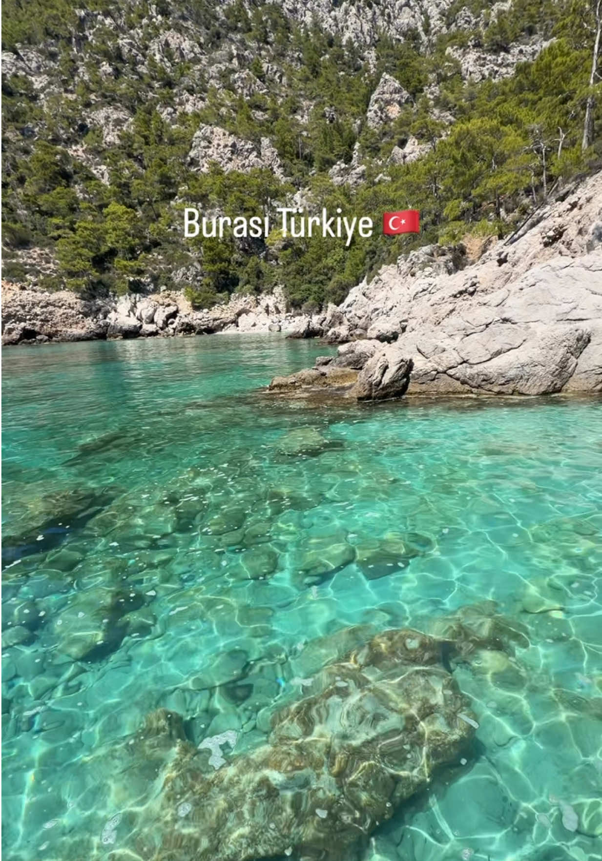 @Abdullah Şahin