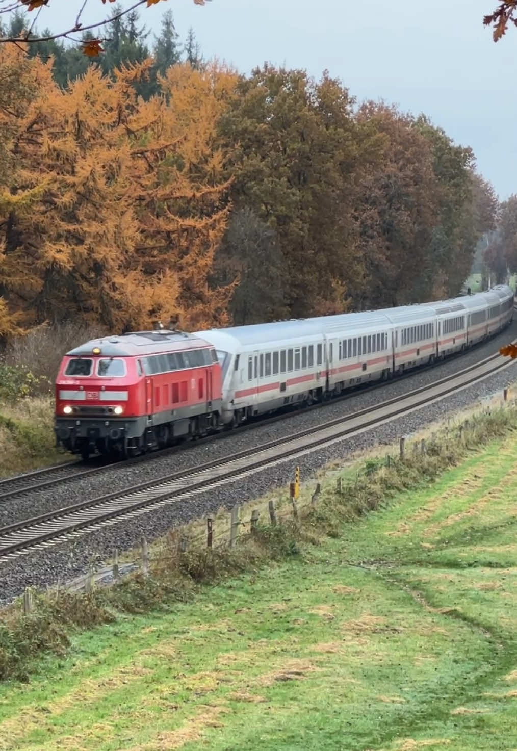@Dieselparadies.Marschbahn