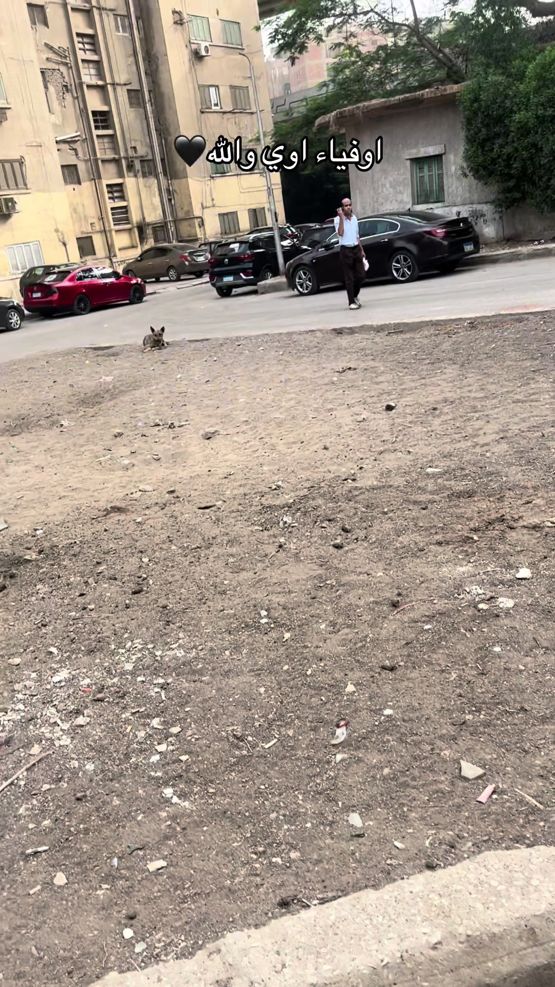 @ملاك | Malaak