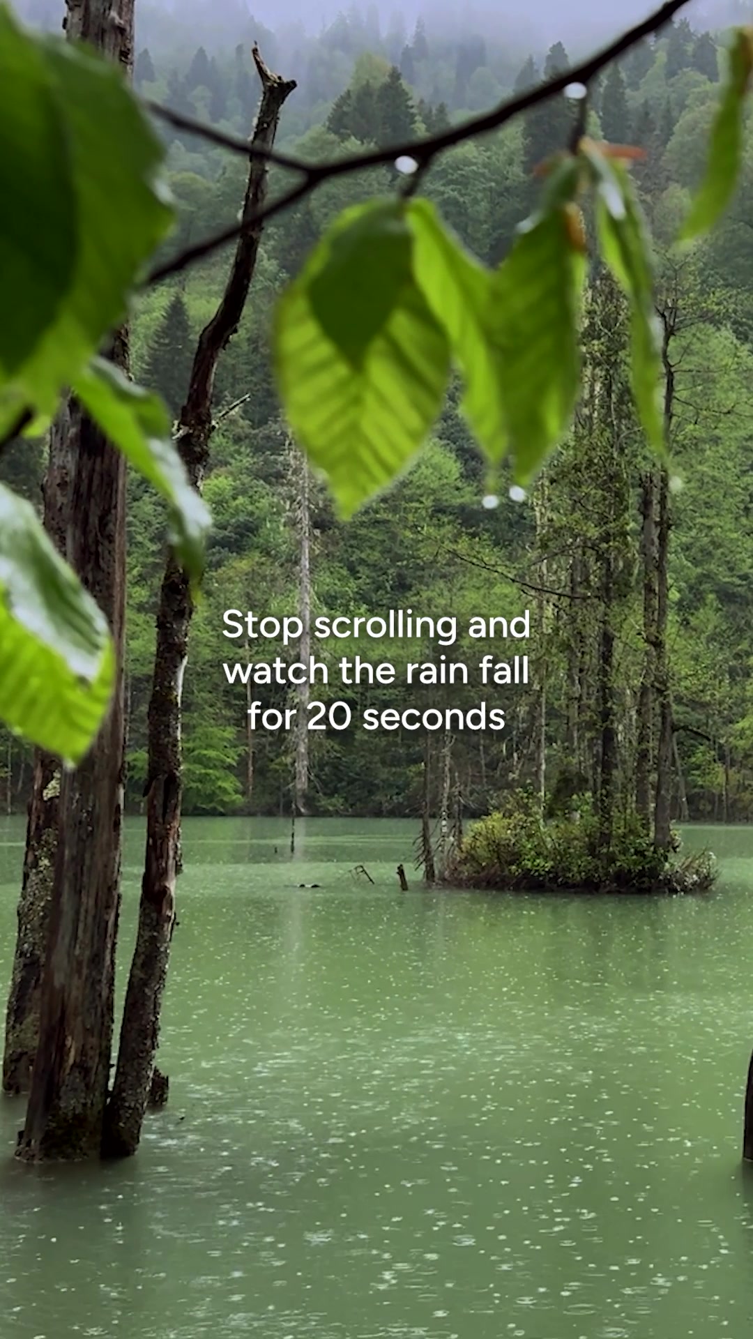 @Calm
