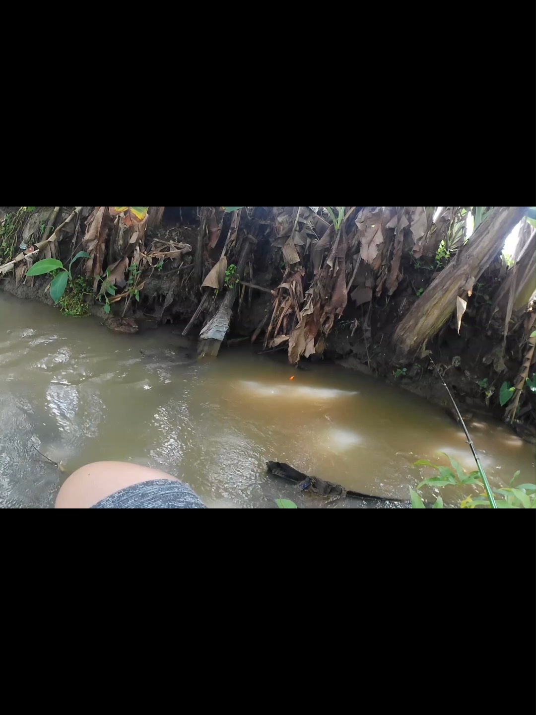 @Mancing oyy