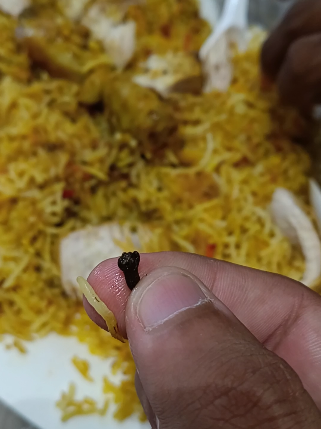 @𝙅𝙪𝙣𝙖𝙞𝙙 𝙅𝙪𝙩𝙩🥏