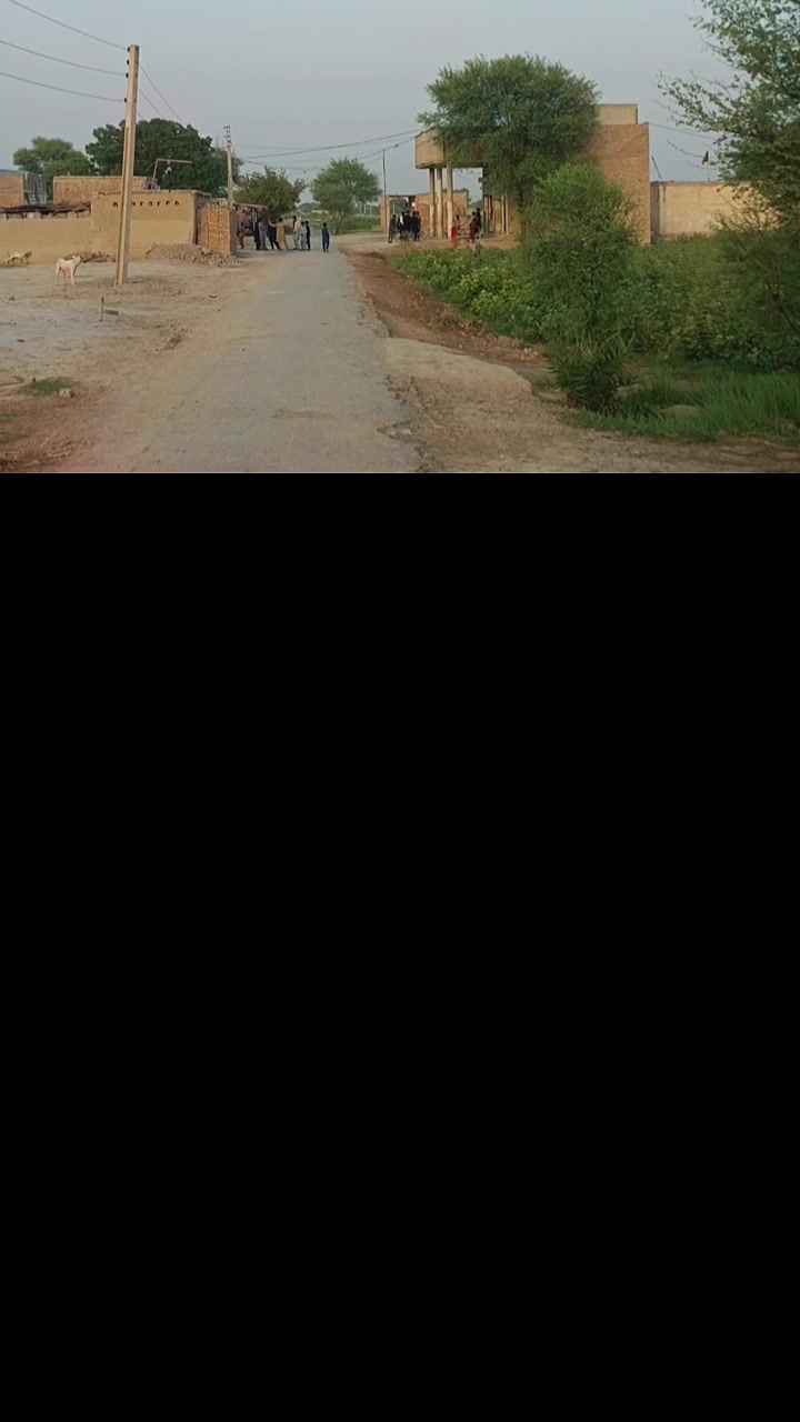 @Muntazir Mahdi